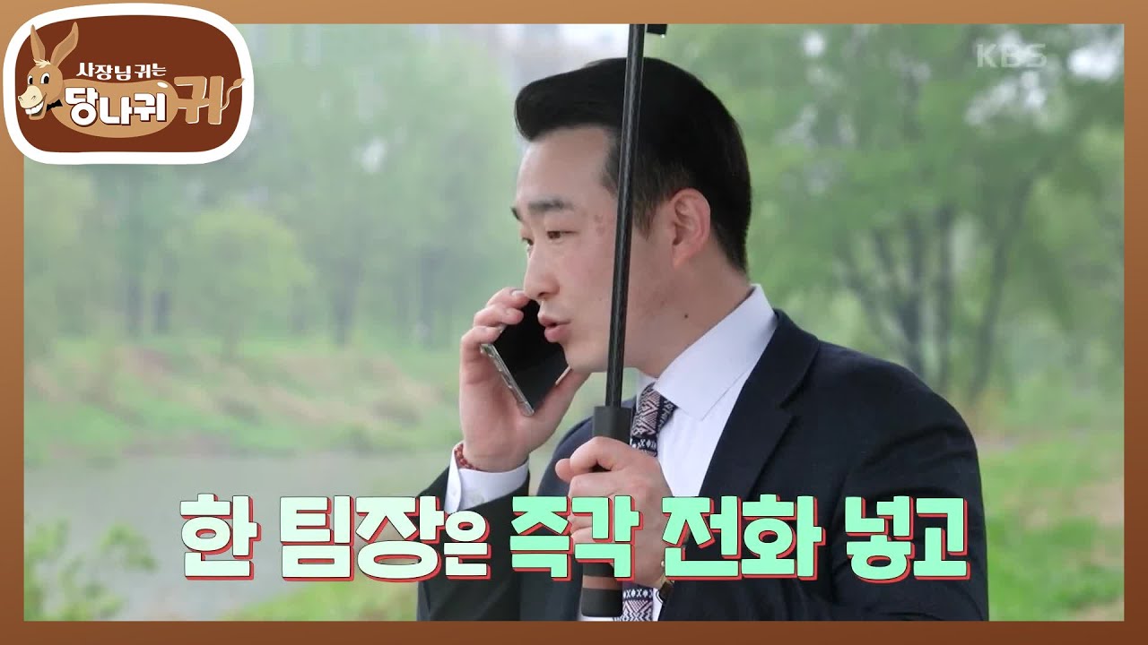 비 오는 날에도 현장 점검💧 편 실장이 아직까지 싱글인 이유는...? [사장님 귀는 당나귀 귀/Boss in the Mirror] | KBS 250608 방송