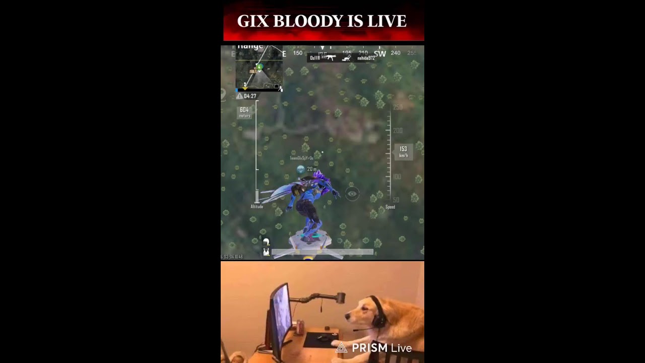 GIX BLOODY IS LIVE  Live Stream