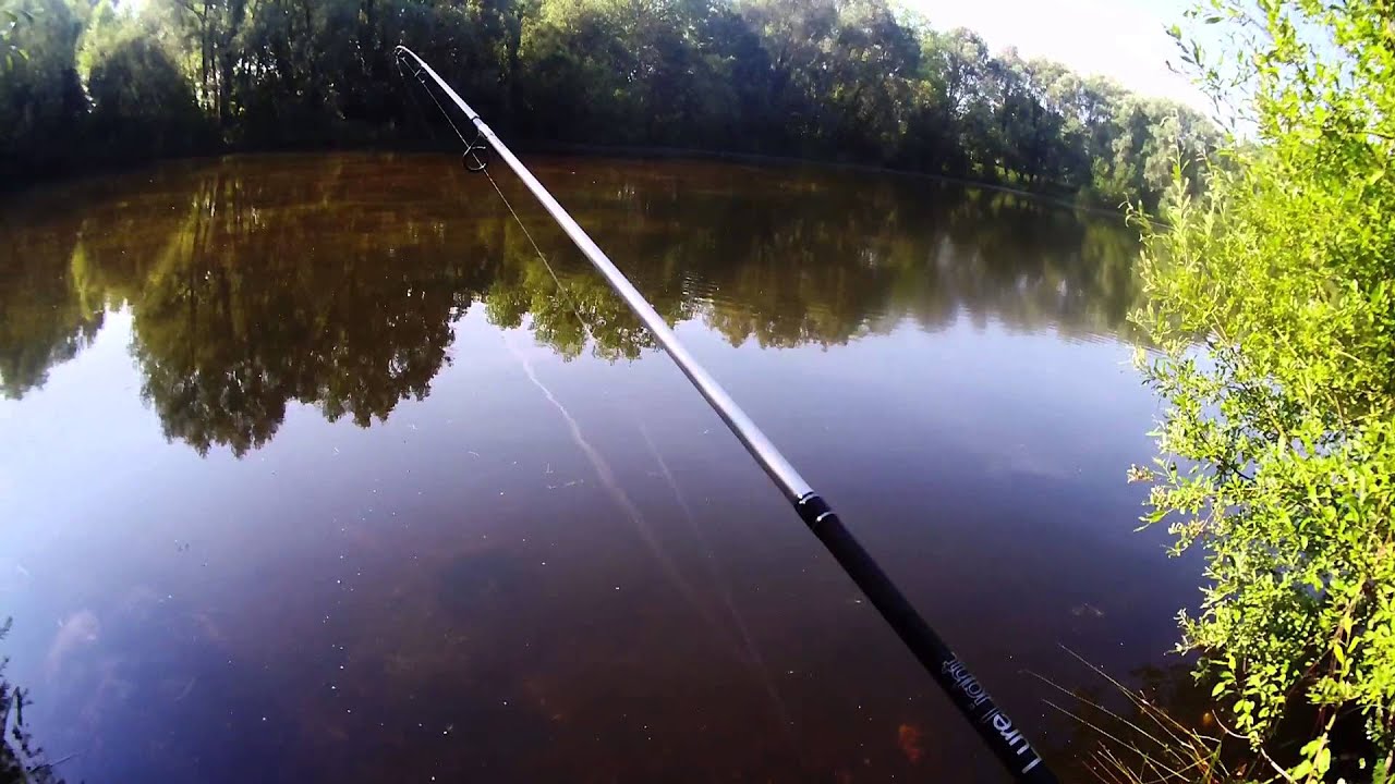 Pêche brochets, perches et chevesnes dans la Somme