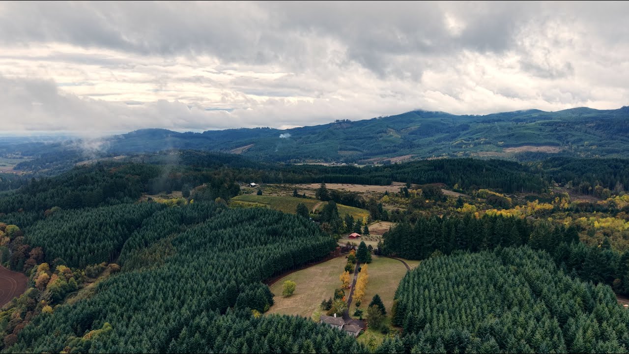 DJI Mini 5 Pro - First Trip (Normal Color Mode, no ND Filter)