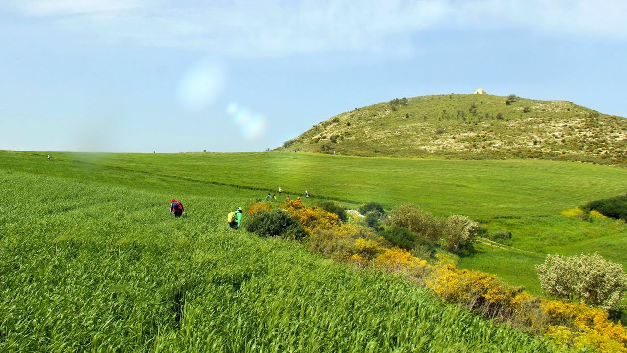 Green Tunisia, Tebourba, Mannouba, Eddekhila  تونس الخضراء الدخيلة طبربة المنوبة