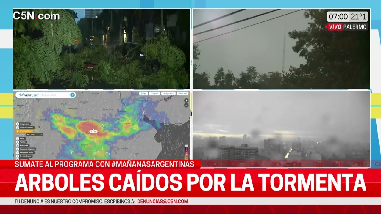ARBOLES CAÍDOS en la CIUDAD por FUERTES RAFAGAS