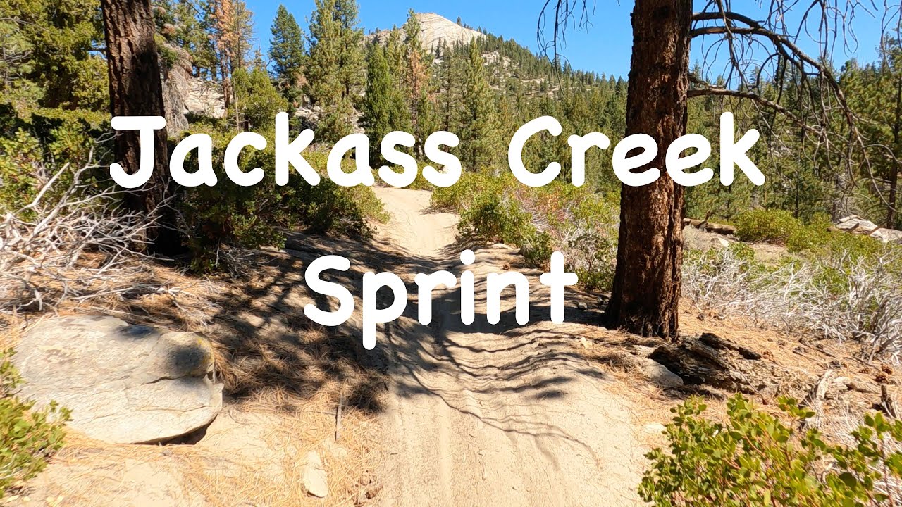 Jackass Creek Trail Sprint
