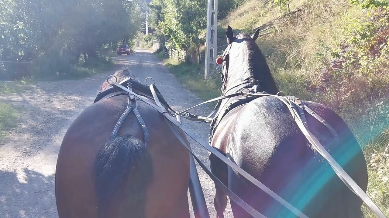 La galop pe Valea G&acirc;rbea, Lunca de Sus, Harghita
