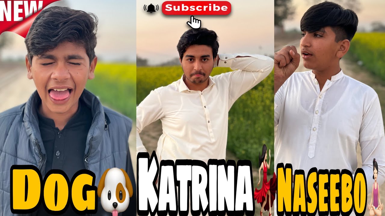Dogi Katrina Aur naseebo Ki performance 😂😂😂