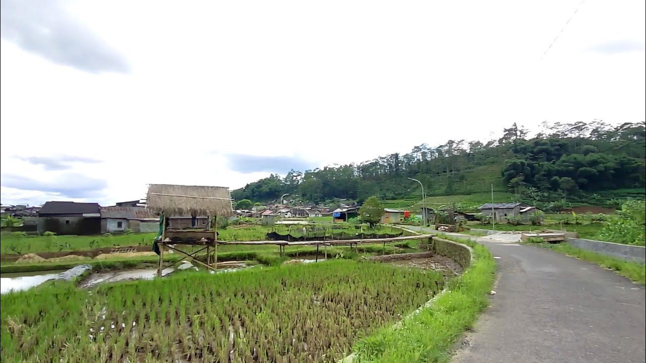 Jalan Pedesaan Indah, Mlandi Kandangan Topengan Sitiharjo Tegalsari Garung Wonosobo Jawa Tengah
