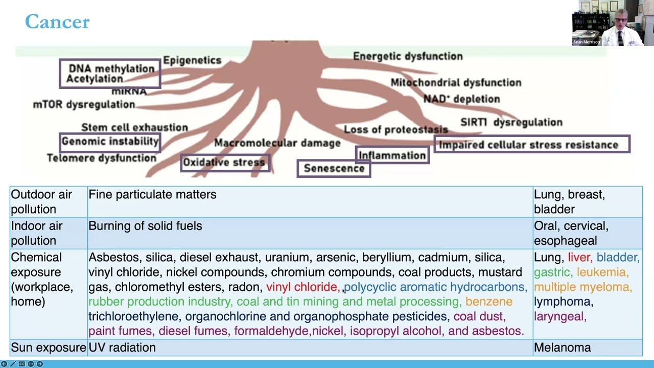Longevity and Environmental Exposures: Uncovering the Links to Age-Related Diseases