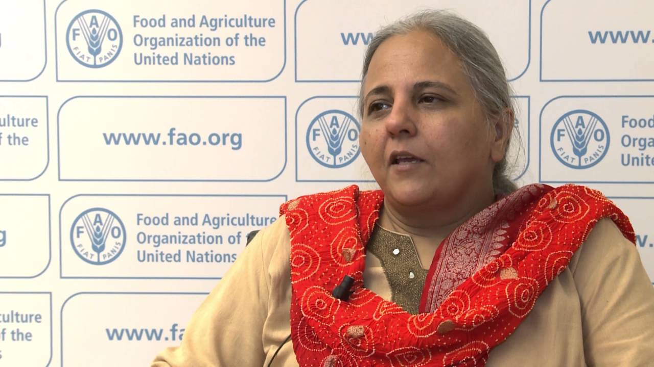SEWA's Director, Reema Nanavaty, on the partnership with FAO