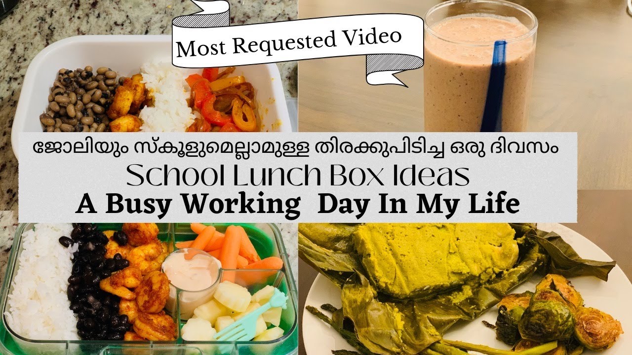Working DayInMyLife|മോന് ക്ലാസ് തുടങ്ങിയതിൽ പിന്നെ എന്റെ schedule ഇങ്ങനെയാണ്| School lunch box ideas