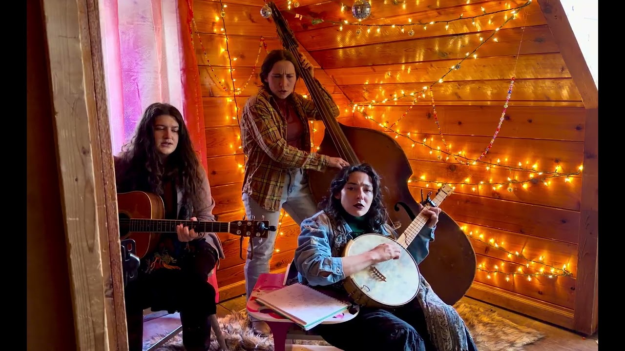 NPR Tiny Desk Contest 2026 | The Band is Causing Problems by: The Fly Birds