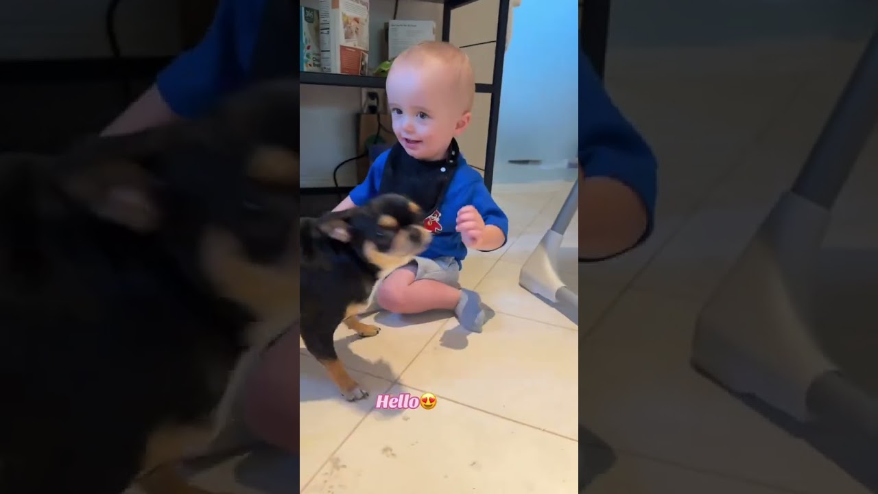 Baby P loves his doggies?#SlivingMom ? | Paris Hilton
