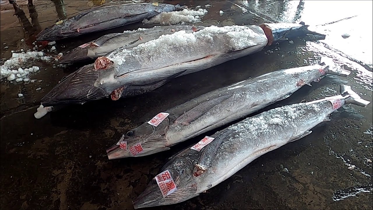 Гигантские рыбы Marlin и желтоперый Режущий Skills-Тайвань Street Food