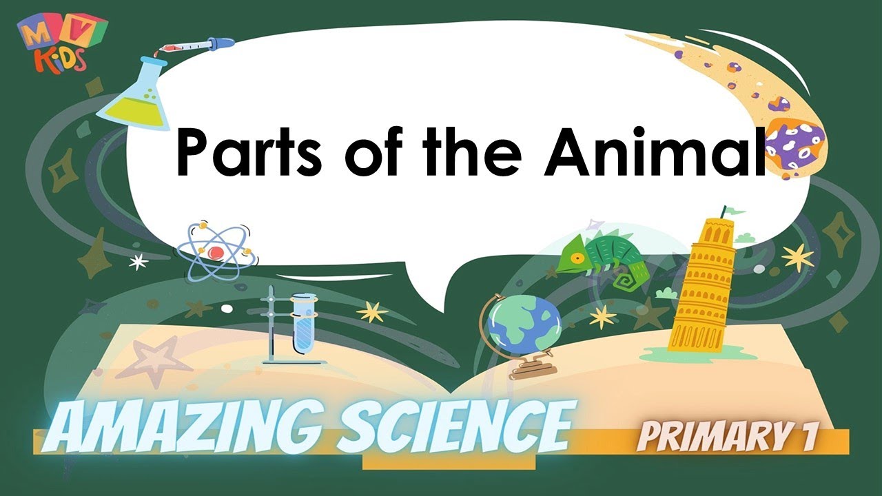 P.1 | Science | Parts of the animals