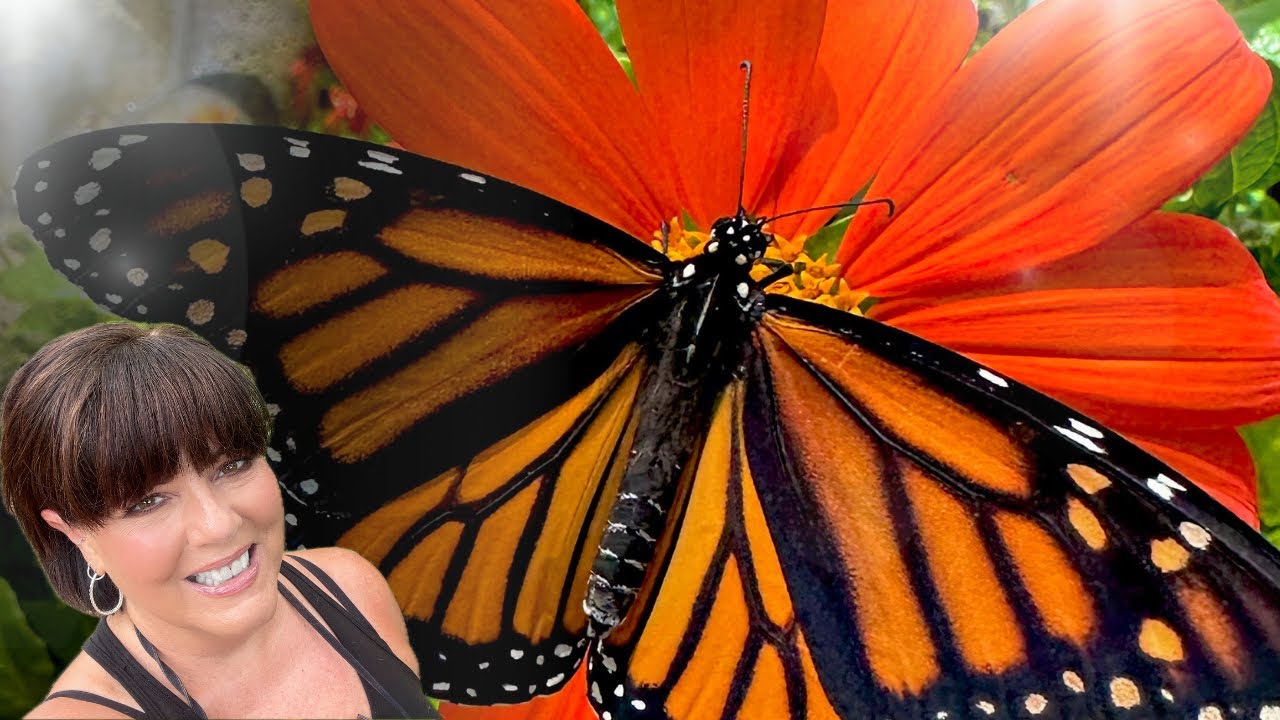 I Redesigned My Garden Again and Have Some Beautiful Native Blooms to Show You