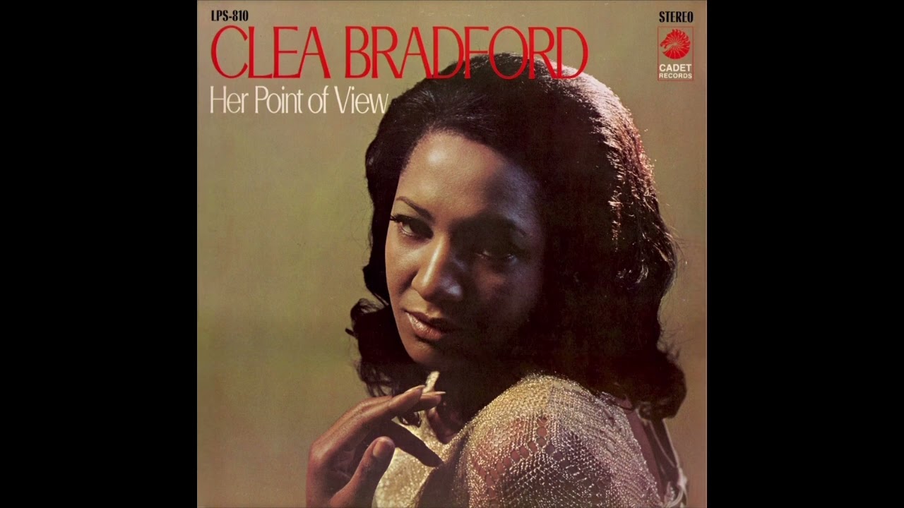 Clea Bradford - The View from Up Here