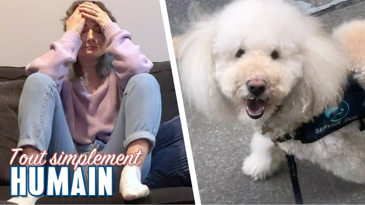 Jack le chien aide sa maîtresse à surmonter ses troubles anxieux | Tout simplement humain