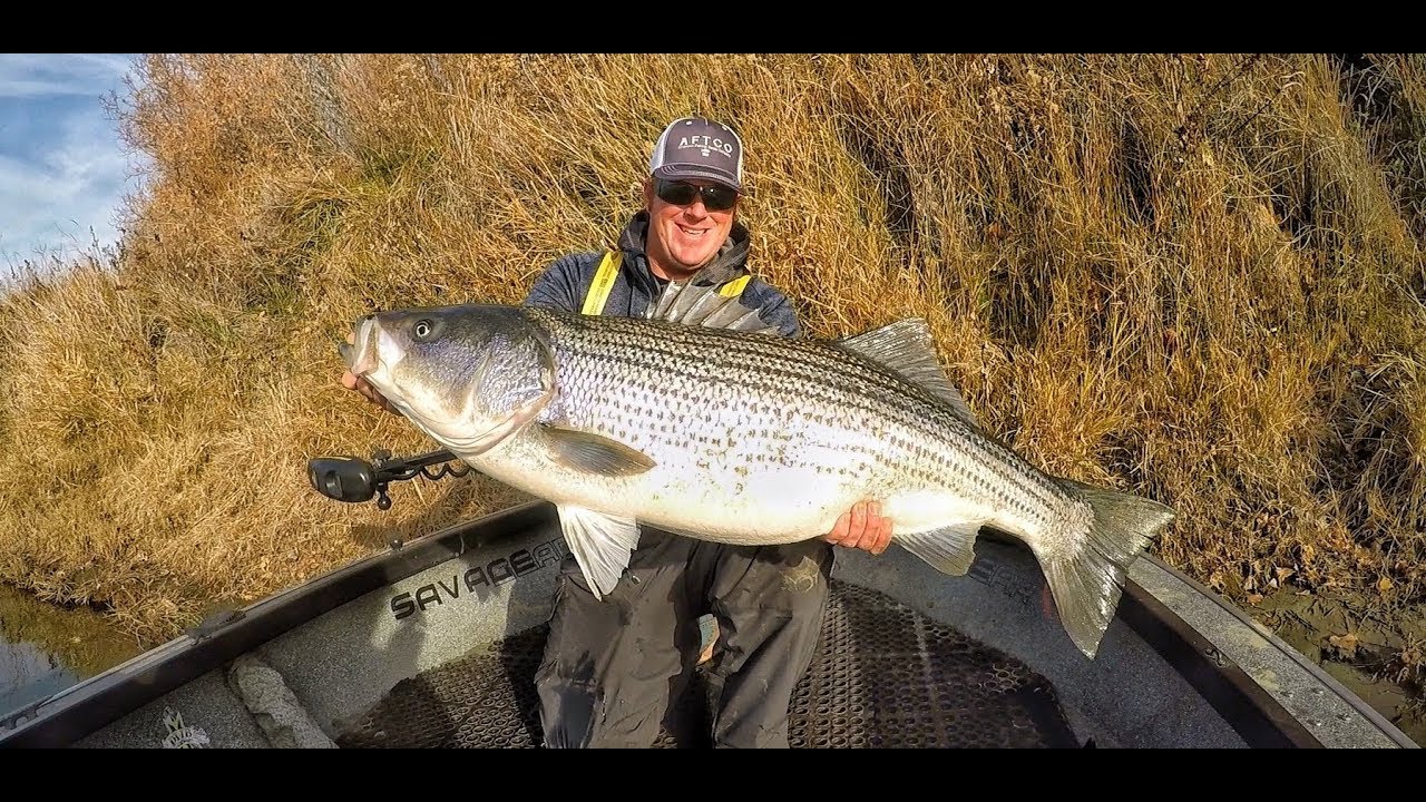 Matt Broke his PB with this MONSTER!!!