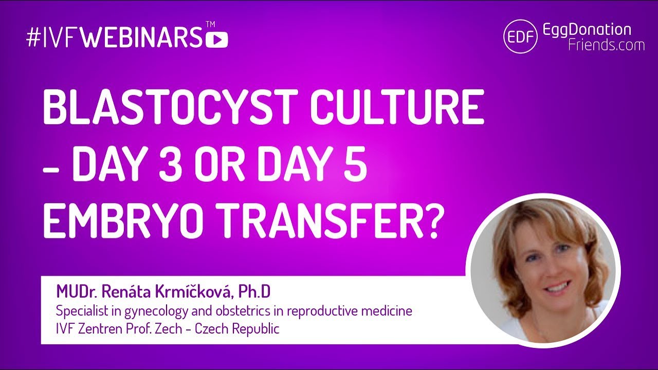 Blastocyst culture - day 3 or day 5 embryo transfer? #IVFWEBINARS