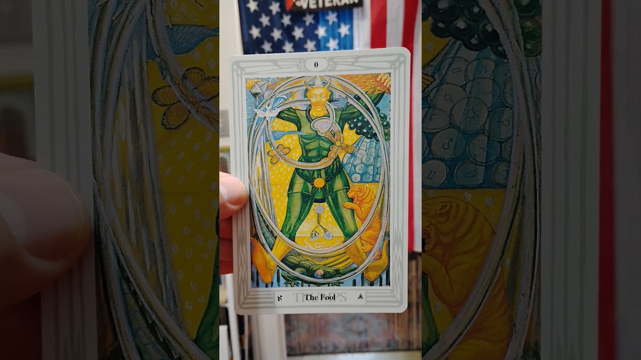The Fool 🤡 #Spiritual #Intellectual #Physical #Psychology #Emotions #Meme @CongressJohnKitover