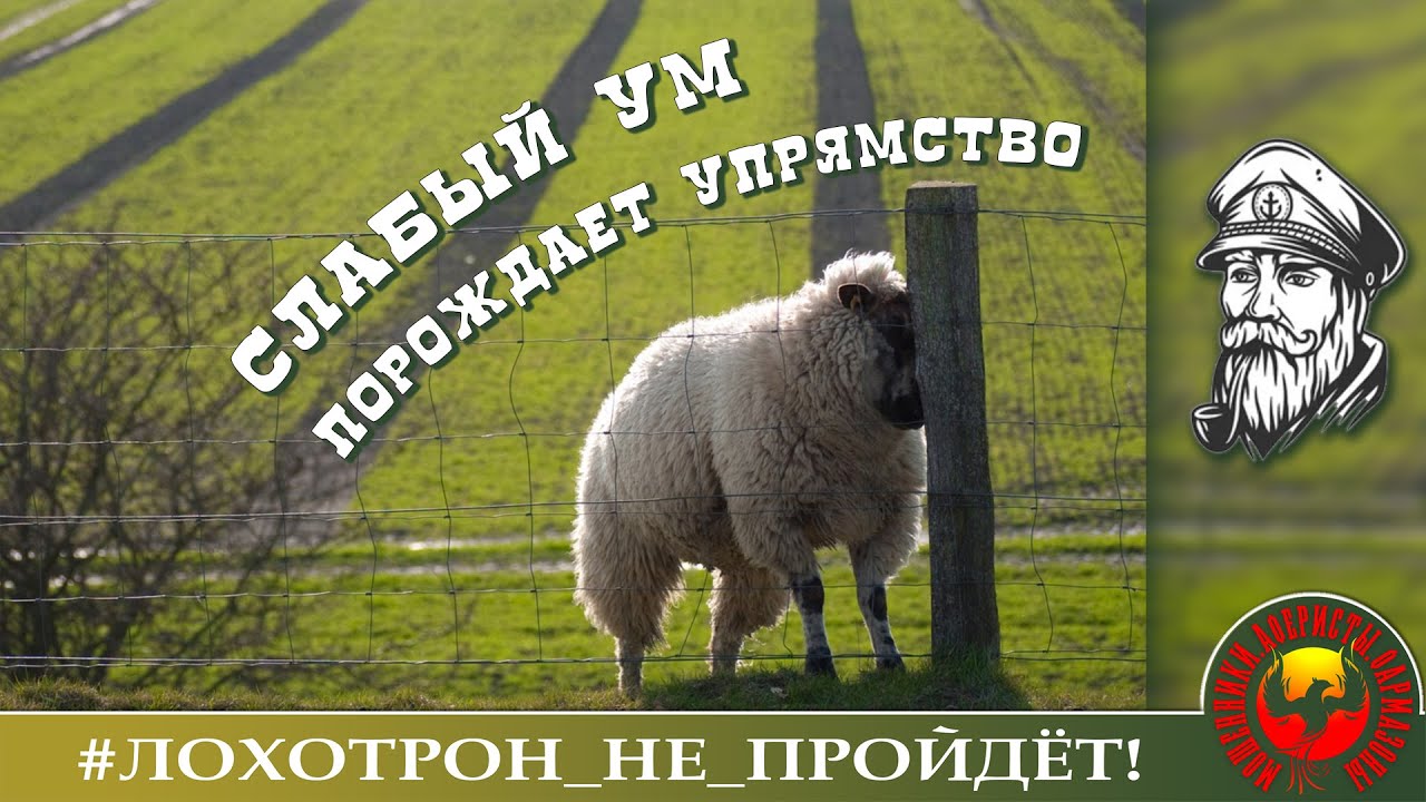 Слабый ум порождает упрямство. (Автор - Моряк Андрей).