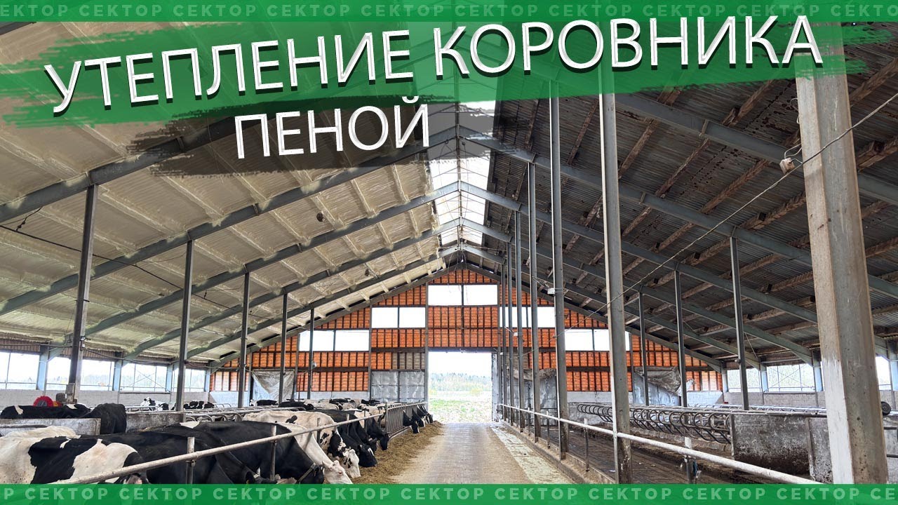Утепление крыши коровника пеной (пенополиуретаном, ППУ)