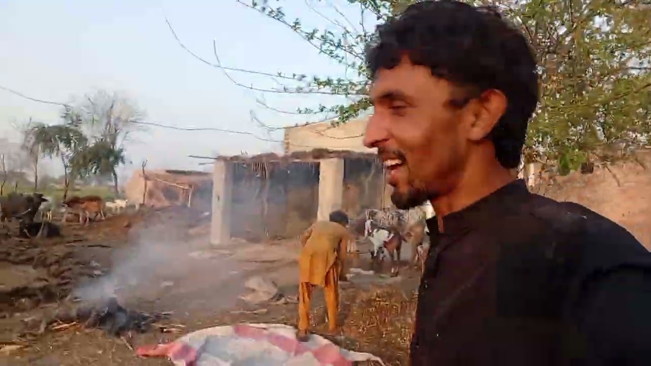 ہم صفائی کر رہے ہیں چیک کرو 