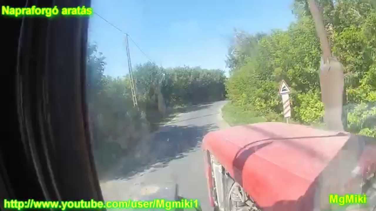 Agro-B&ouml;lcske Zrt. [Napraforg&oacute; arat&aacute;s/sunflower harvest] 2013