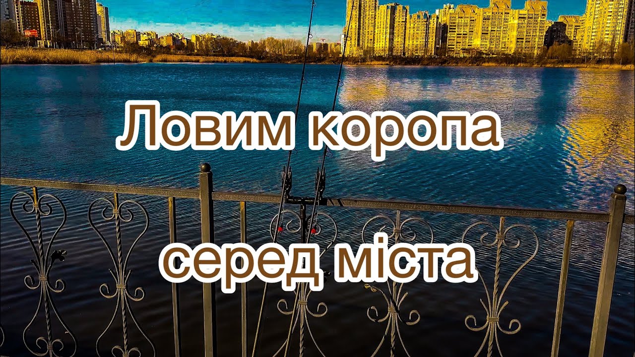 Ловим коропа серед міста 