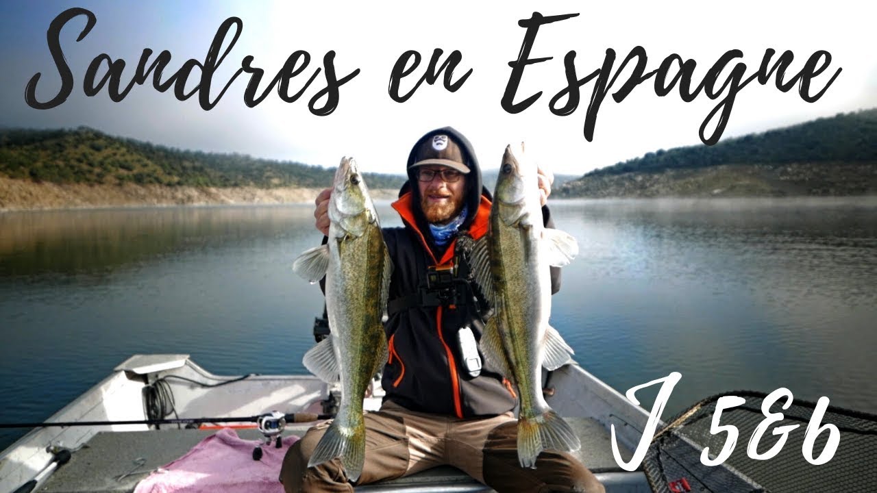 Espagne, les sandres en verticale