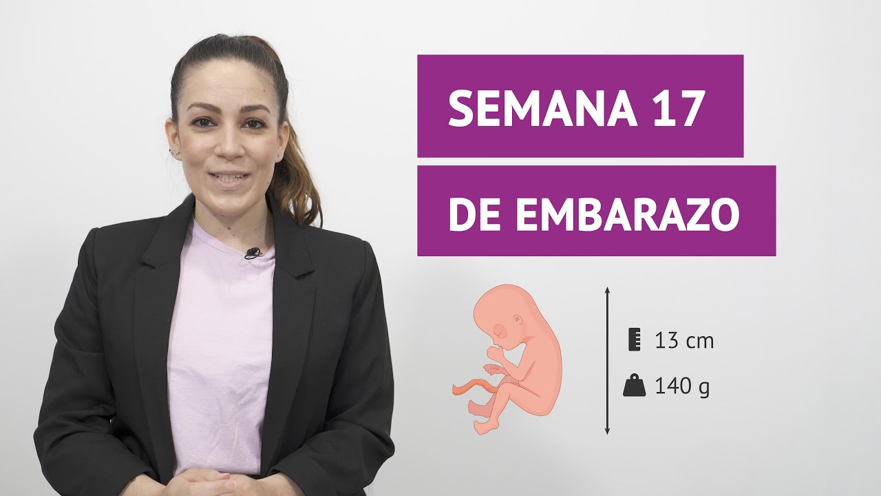 ¿Cómo es la semana 17 de embarazo? 🤰 cambios en la mujer y en el bebé