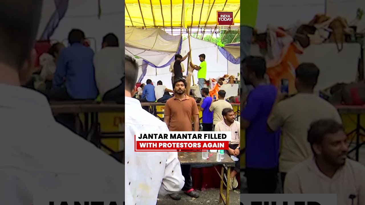 CJP Protest Continues at Jantar Mantar: Morning Visuals From Delhi #cjpprotest #jantarmantar