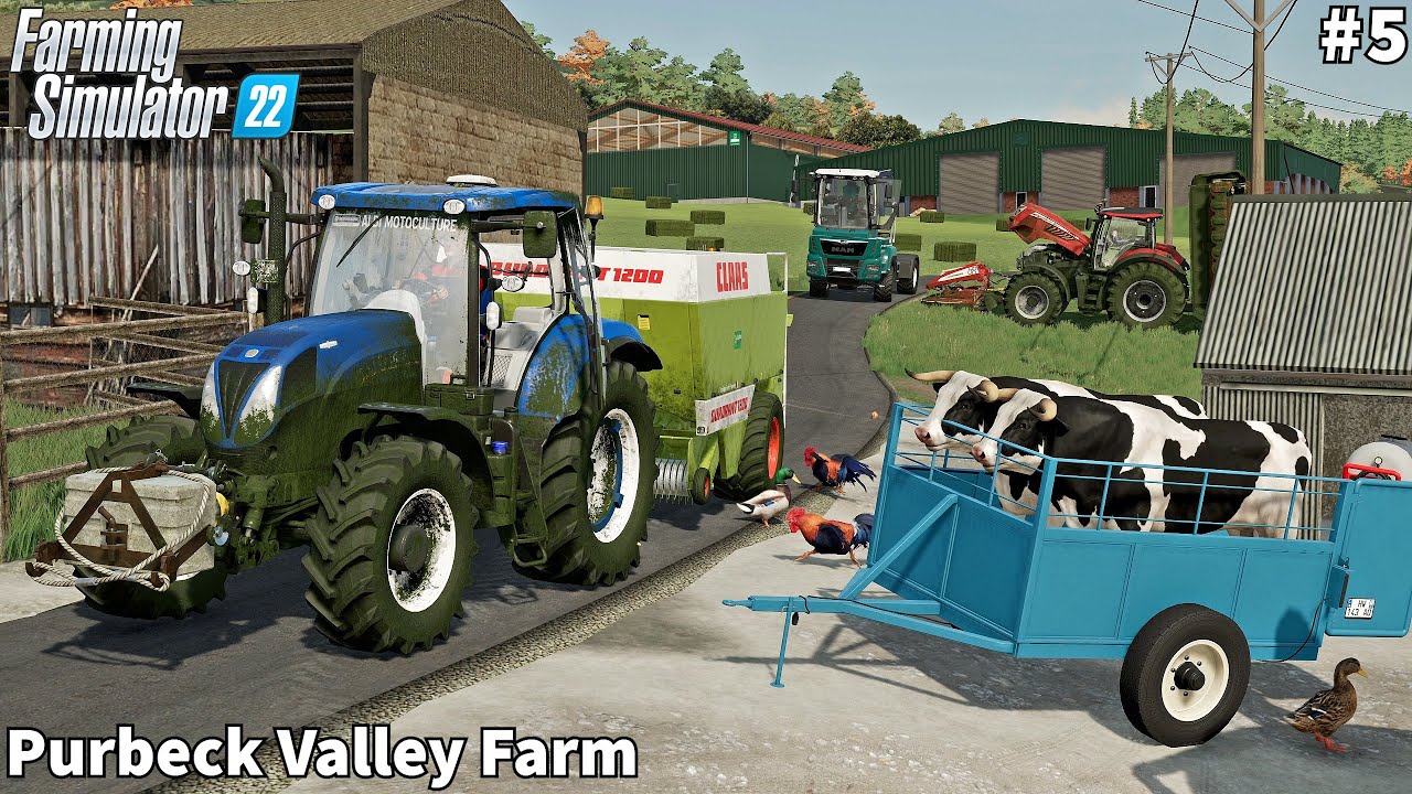 Placing Bulls & Buying Goat, Mowing & Baling Grass │Purbeck Valley│FS 22│Timelapse#5