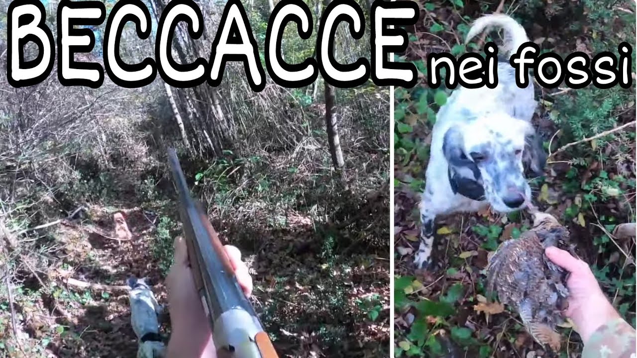 Caccia alla beccaccia: nei fossi con Assunta e Benito-Con Benito il Breton e Assunta la Setter GoPro