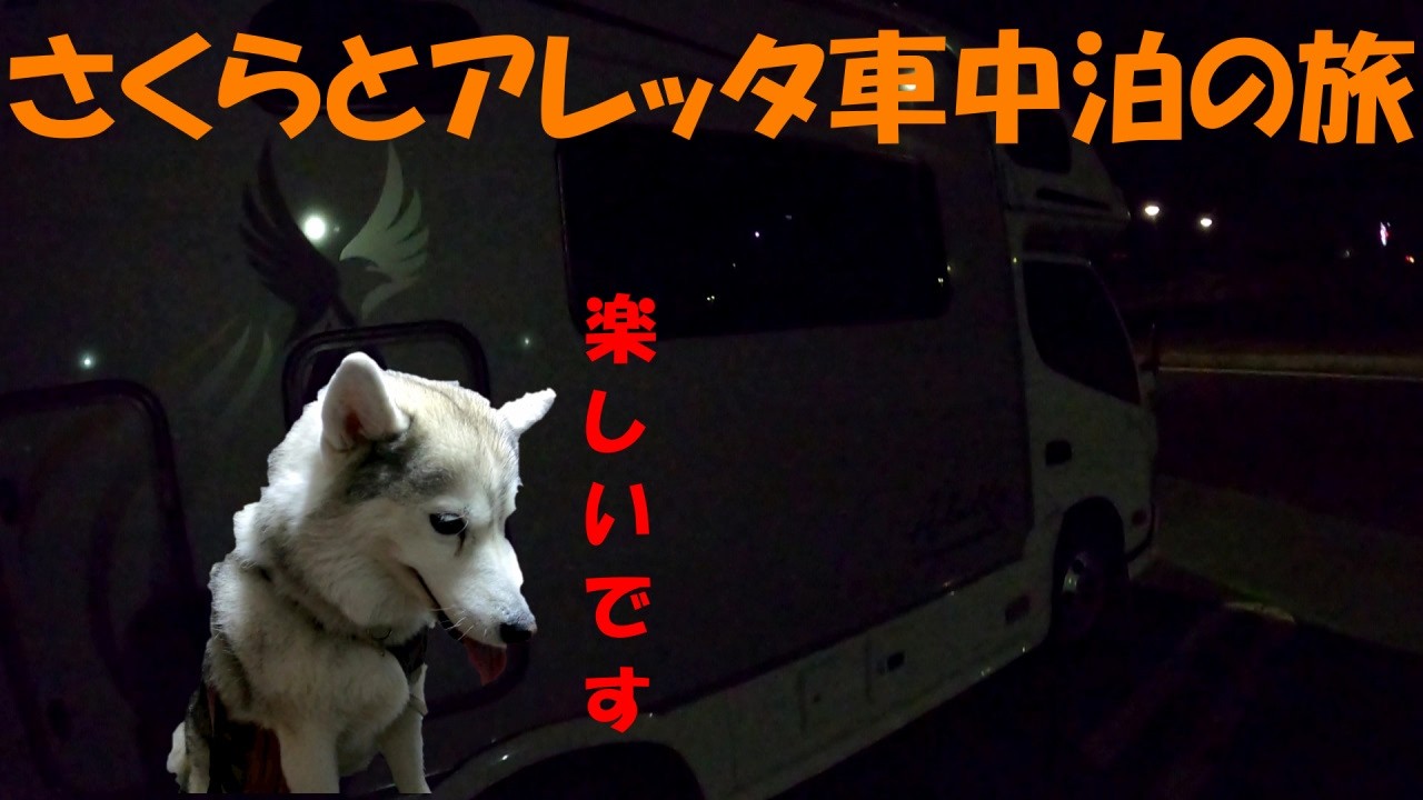 さくらと完全ノープラン車中泊の旅　【シベリアンハスキー　駿河湾沼津サービスエリア　道の駅あいおい白龍城】