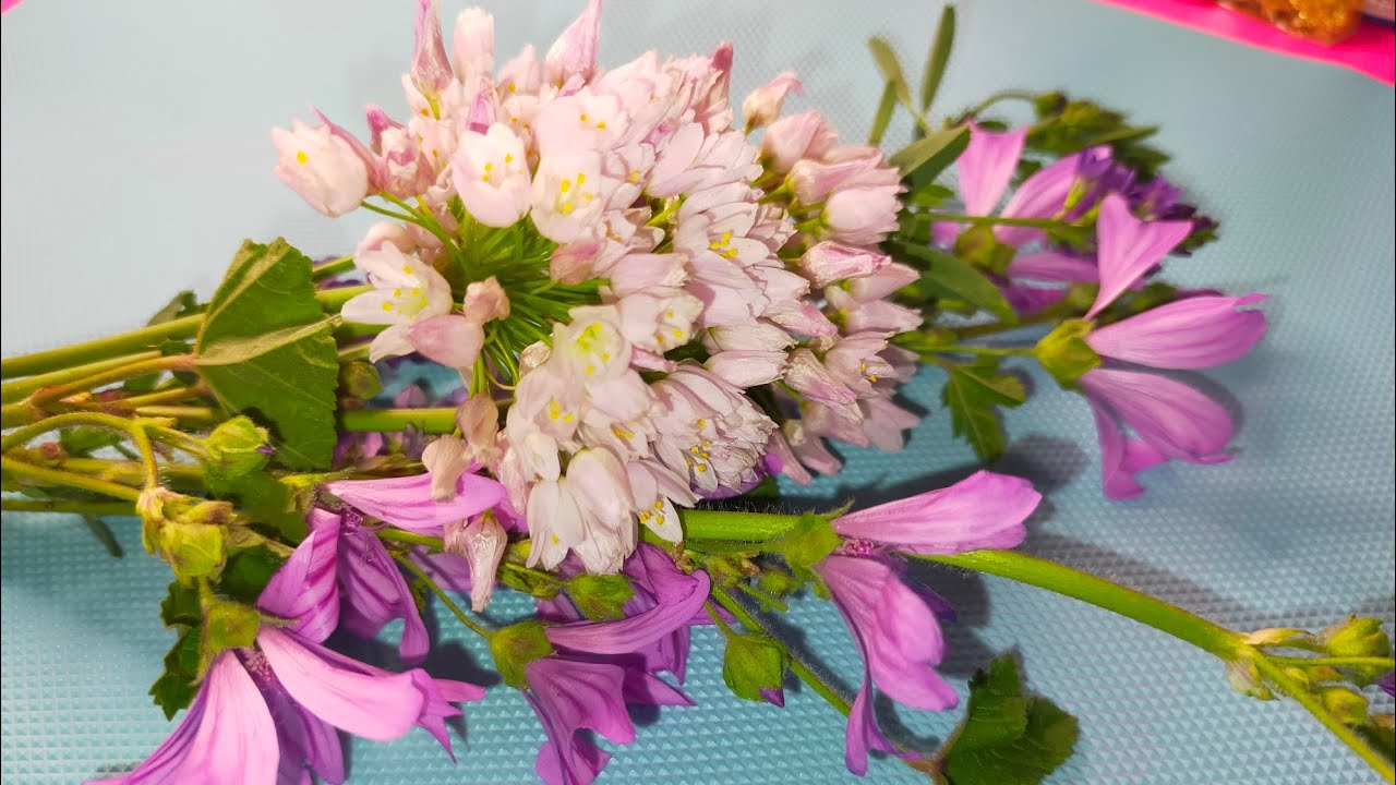 Come essiccare fiori senza perderne colore e forma