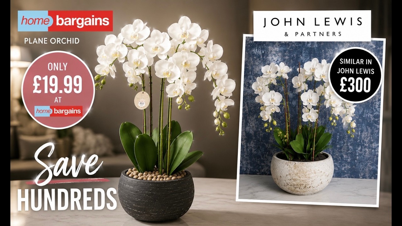 HOME BARGAINS Come Shop With Me! NEW Mrs Hinch, Skincare Finds & &pound;19.99 Orchid vs &pound;300 John Lewis!