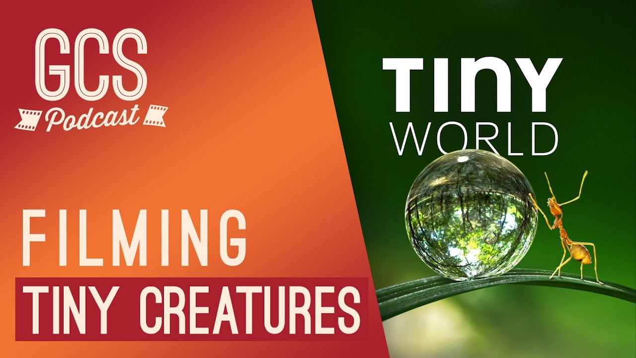 Filming Tiny Creatures (with Tom Hugh-Jones) GCS245
