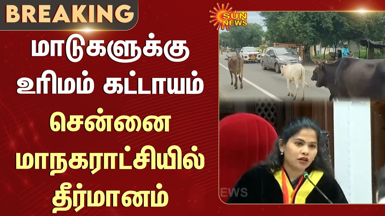 மாடுகளுக்கு உரிமம் கட்டாயம் -மாநகராட்சியில் தீர்மானம் | Mayor Priya | Licence | Cows | Mandatory