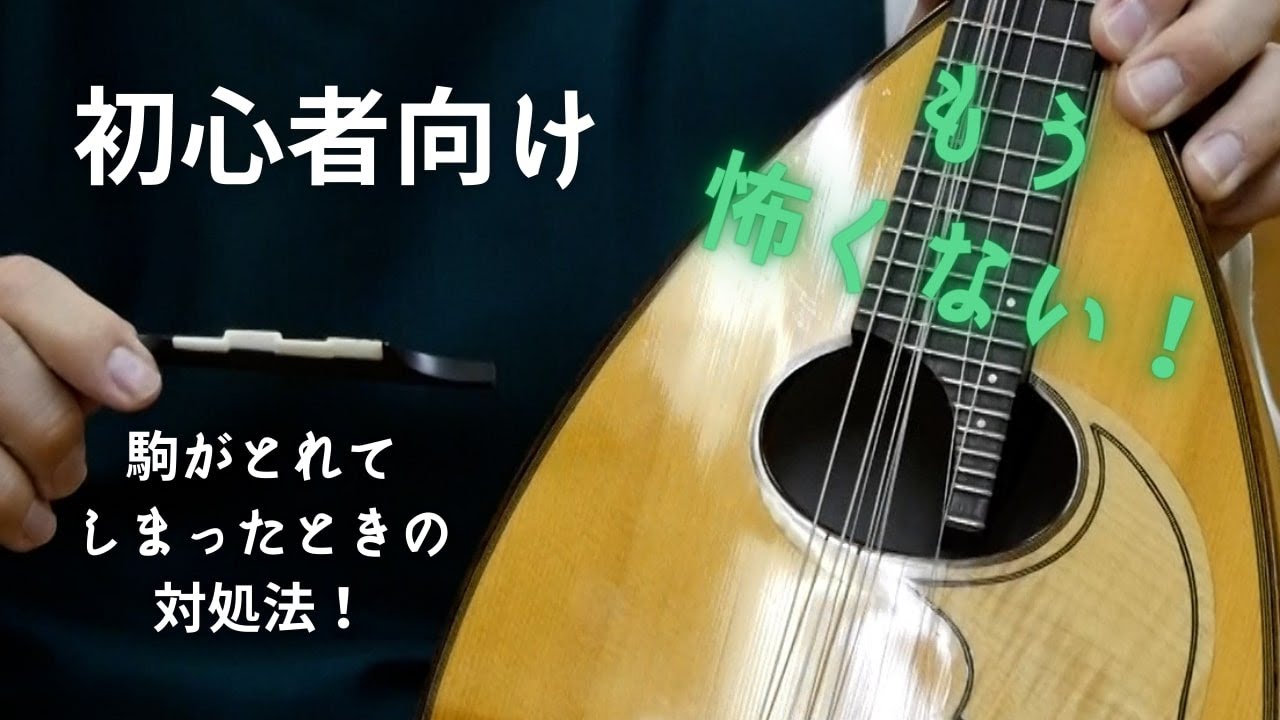 【初心者向け】もう怖くない！マンドリンの駒が取れてしまった時の対処法！