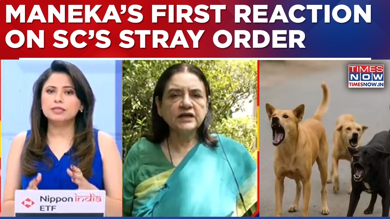 Maneka Gandhi Reacts To Supreme Court's Order On Stray Dogs, Says 'Not A Single City Made Shelters'