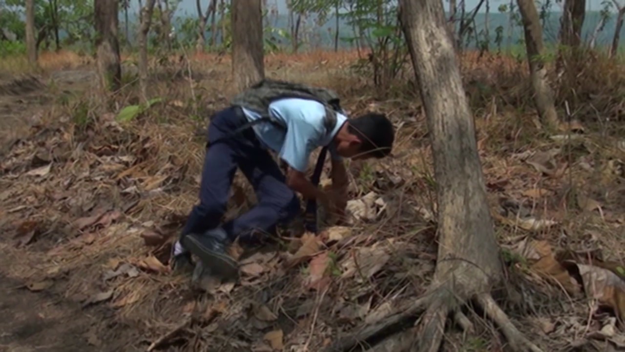 FILM INI SEDIH BANGET !! PEJUANG PENDIDIKAN ...... SMK N 1 PRINGAPUS