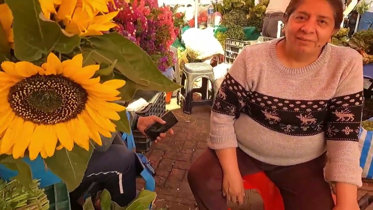 Mercado XOCHIMILCO/Venta de NOPAL, cebolla, epazote, CALABAZA, BROCOLI, chilacayote, quelite y MAS