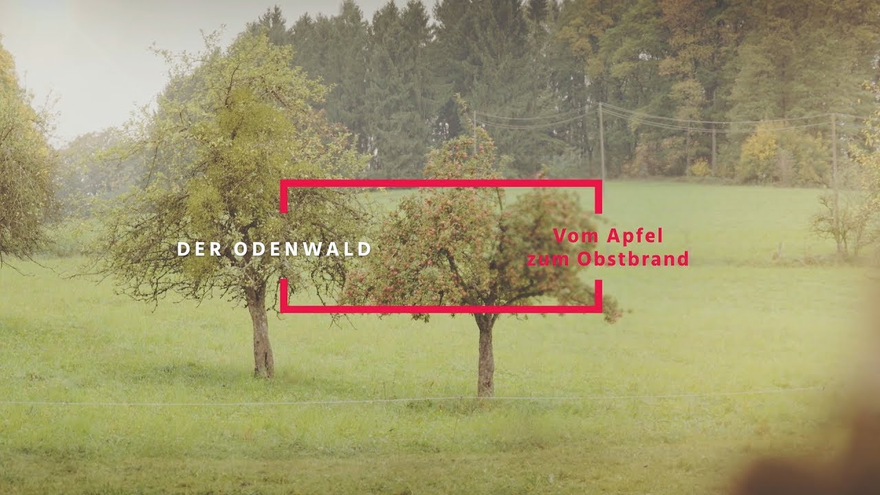 Rund um den Apfel &ndash; der Odenwald und seine Streuobstwiesen | #Hessen&Uuml;berrascht