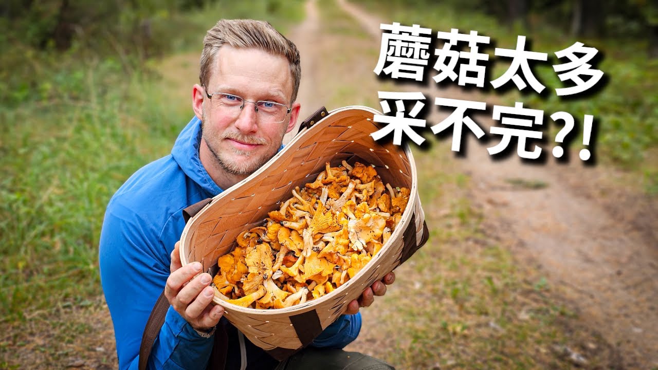 遍地是蘑菇！当地蘑菇节震撼实录，蘑菇采到手软，美食摊逛到腿软 LITHUANIA'S EPIC MUSHROOM FESTIVAL! Street Food & Deep Local Culture