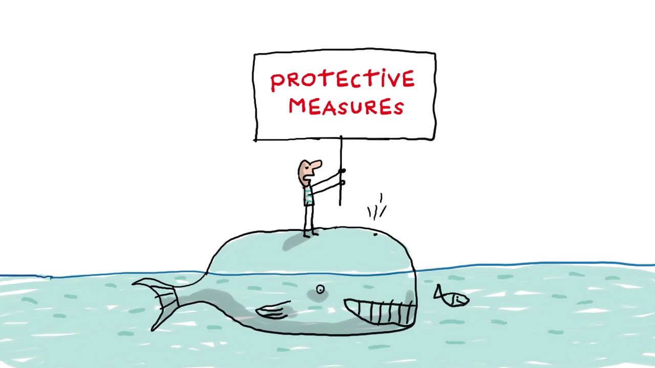 How do We Protect Life in the Oceans ? - A Question A Day