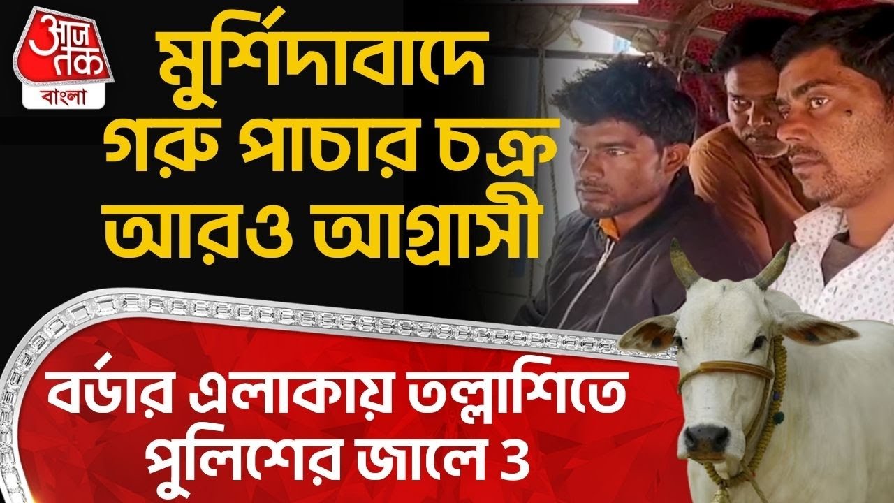 মুর্শিদাবাদে Cow Smuggling চক্র আরও আগ্রাসী, Border এলাকায় তল্লাশিতে Police র জালে 3
