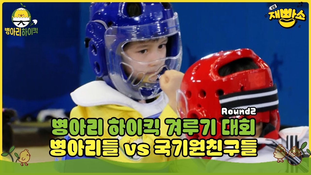 [병아리 하이킥] 🐤🥋병아리 하이킥 겨루기 대회 Round 2 병아리들 vs 국기원친구들 #30 🐤