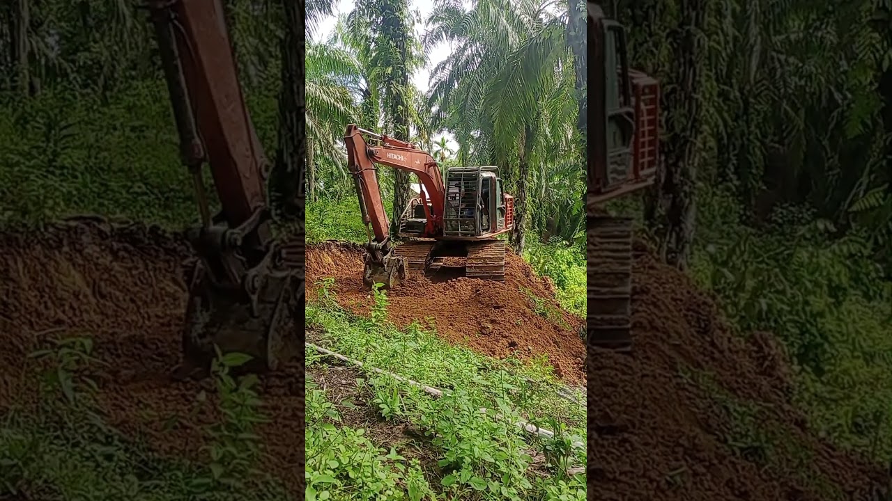Excavator kebun sawit buat teresan #sawit #palmoil #kebunsawit #beko #excavator