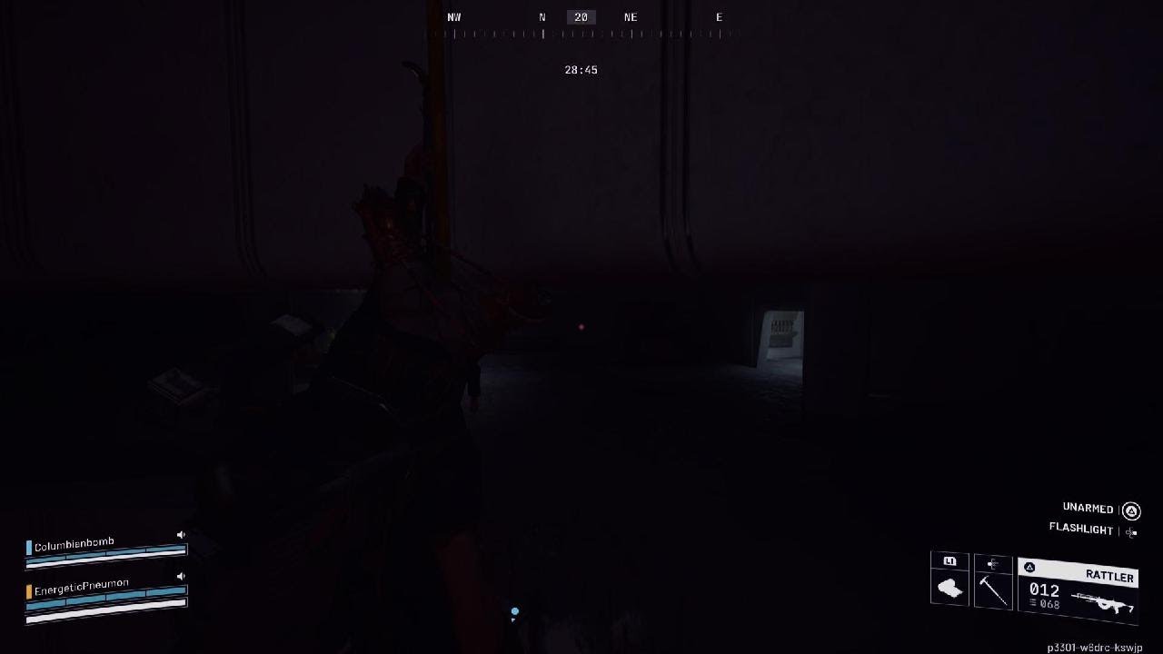 Showing my teammate the broken room on stella