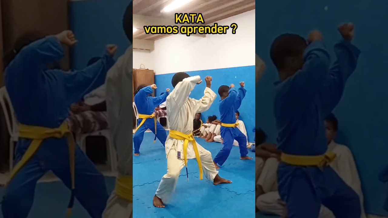 KARAT&Ecirc; PARA INICIANTES VOC&Ecirc; SABE ESSE KATA ?